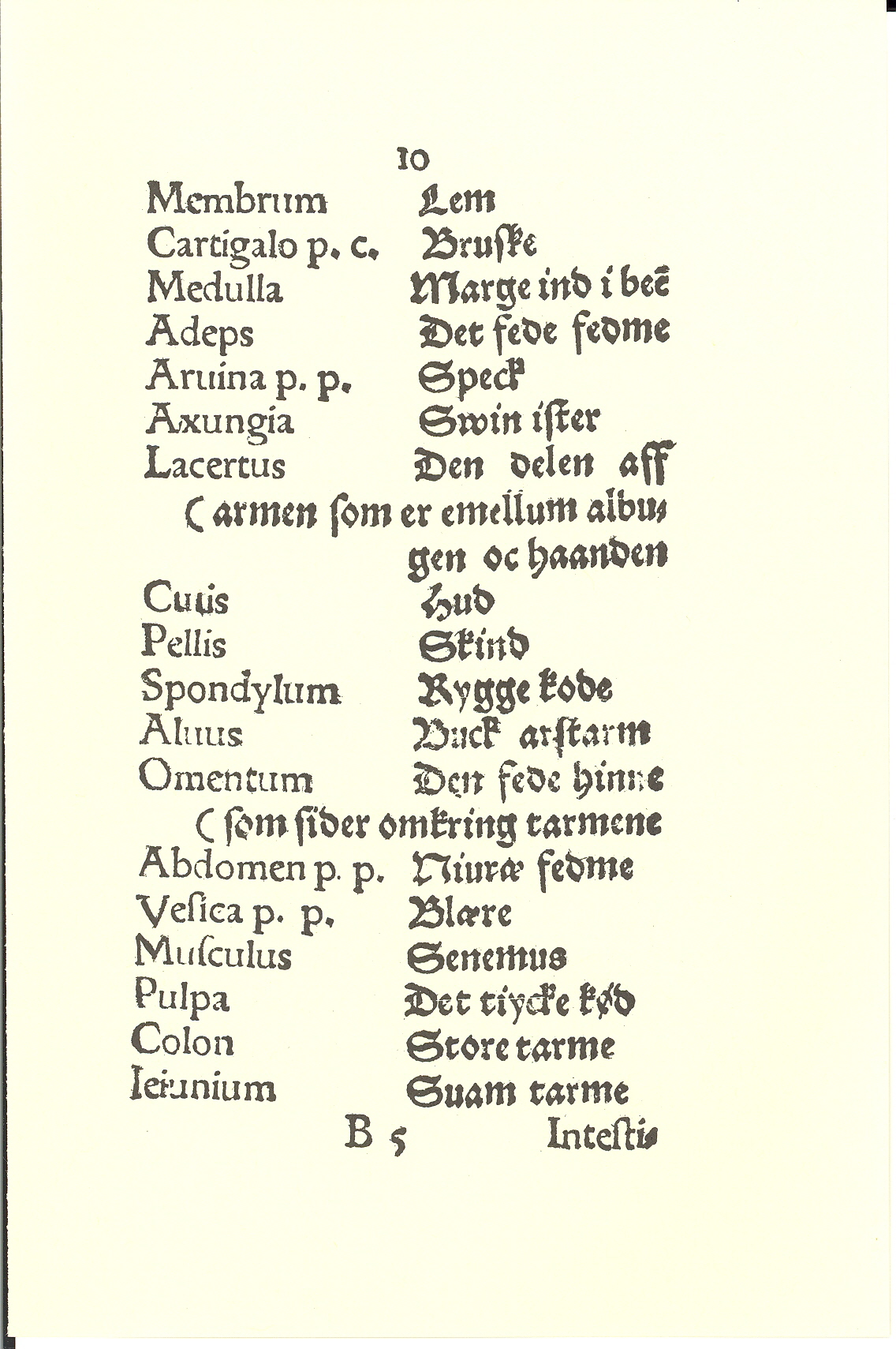 Hingelberg 1576, Side: 19