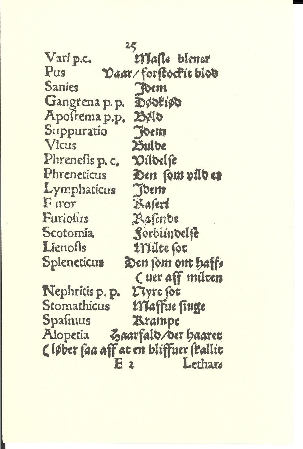 Hingelberg 1576, Side: 49