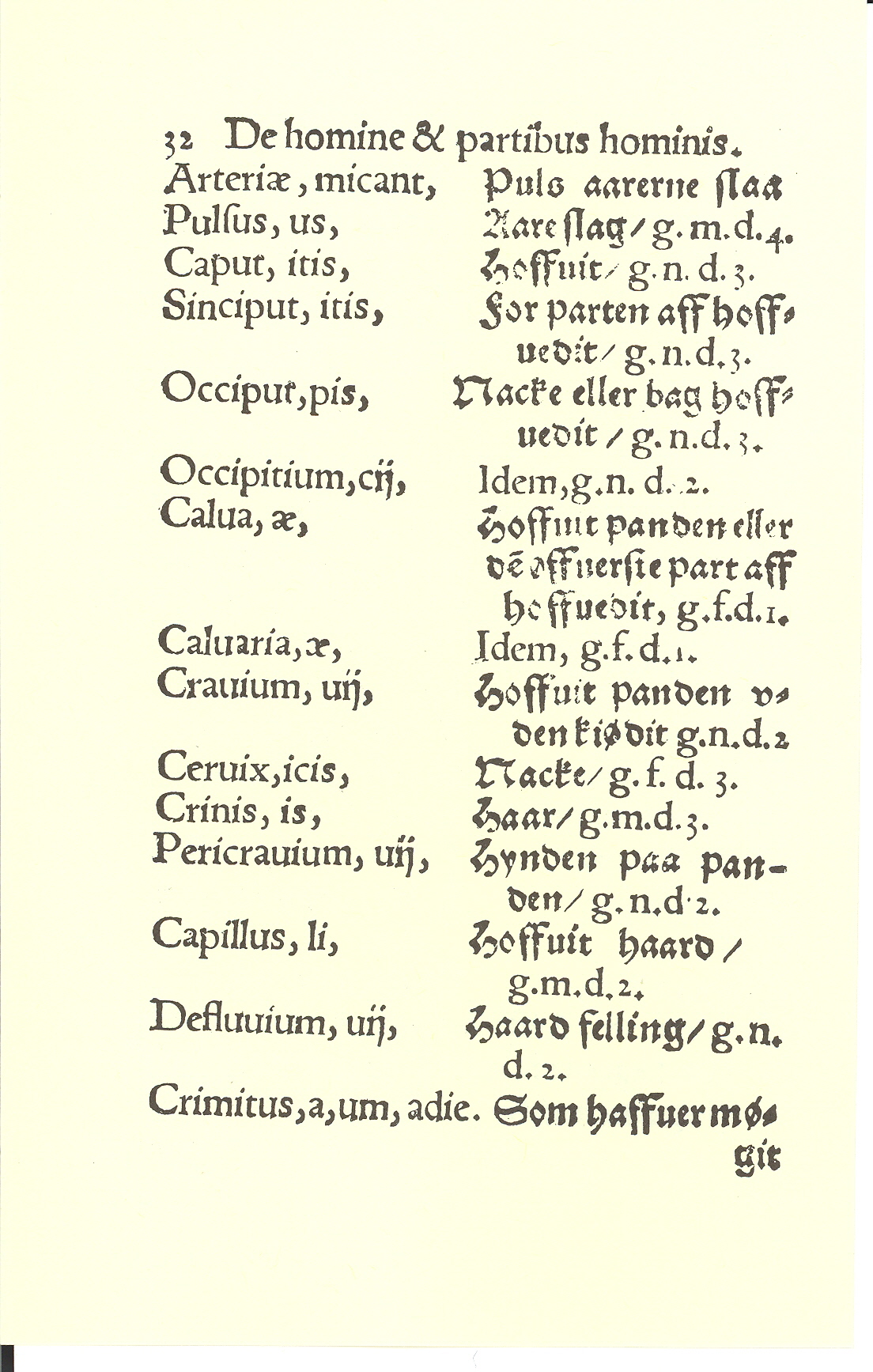 Smith 1563, Side: 32