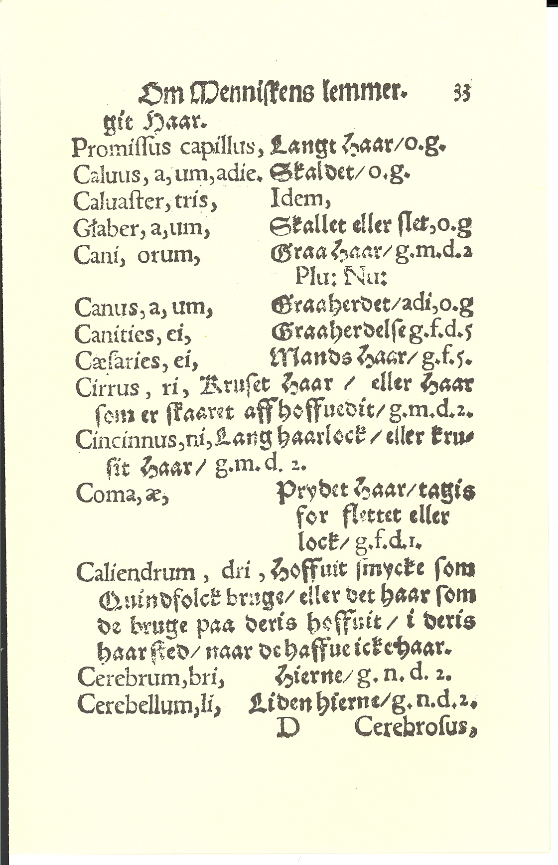 Smith 1563, Side: 33