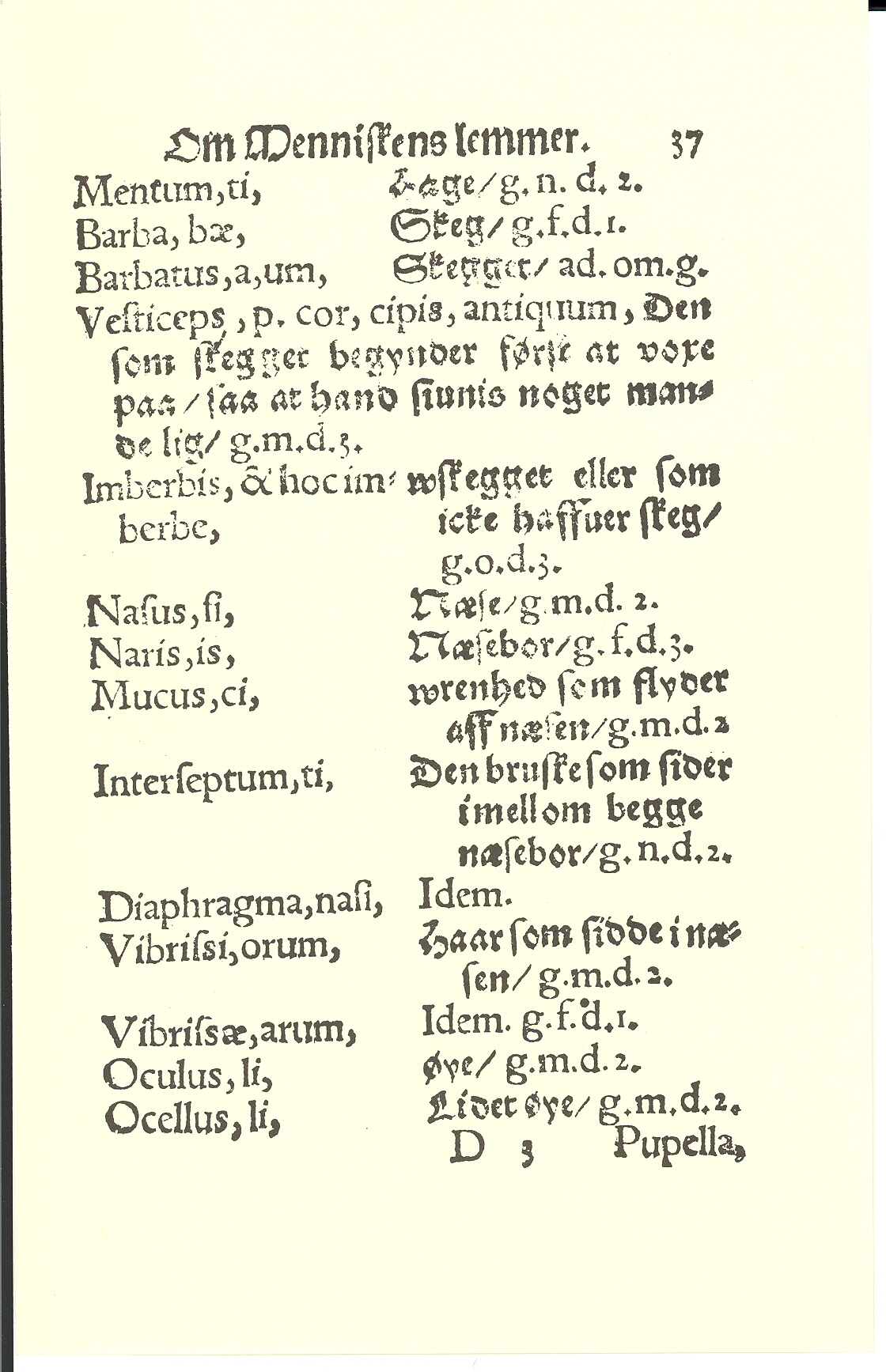 Smith 1563, Side: 37